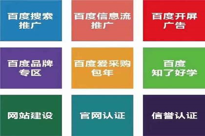 百度竞价代运营成功案例解析